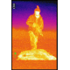 Thor320-4.5x 336x256, 50mm, 60Hz, 17 Micron Thermal Weapon Sight