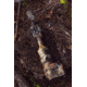 ATN X-Sight-4K 3-14x50mm Pro Edition Smart Day/Night Hunting Rifle Scope, 30mm Tube, Mossy Oak Break-Up Country, DGWSXS3144KPBC
