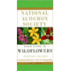 Audbn Fg Wildflowers-eastern, John Thieret, Publisher - Random House