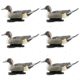 Avery Outdoors Life-Size Pintails, Drake, 1/2 dozen, Realistic Postures, 73050