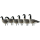 Avian X Active Pack APX Lessers Decoy, AVX-AVX9008