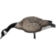 Avian X AXP Goose Decoys, Fusion Honker 6 pk, AVX-AVX9006