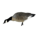 Avian X AXP Honker Sentry-Walker, Black, AVX-HONK-6PK