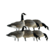 Avian X AXP Lesser Fusion Pack, Black, AVX-LESS-6PK