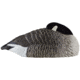 Avian X Canada Sleeper Shells, Black, Pack of 6, 9011