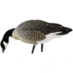 Avian X Feeder Pack APX Lessers Decoy, AVX-AVX9007