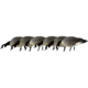 Avian X Feeder Pack APX Lessers Decoy, AVX-AVX9007