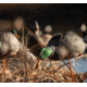 Avian X Fusion Pack APX Mallard Decoy, Brown, Pack of 6, AVX-AVX8061