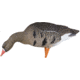Avian X Fusion Pack AXP Specklebelly Decoy, AVX-AVX9014