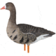 Avian X Fusion Pack AXP Specklebelly Decoy, AVX-AVX9014