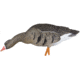 Avian X Fusion Pack AXP Specklebelly Decoy, AVX-AVX9014