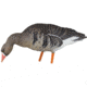 Avian X Fusion Pack AXP Specklebelly Decoy, AVX-AVX9014