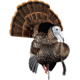 Avian X HDR Strutter Decoy, Synthetic, AVXAVX8108