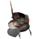 Avian X HDR Strutter Decoy, Synthetic, AVXAVX8108
