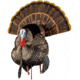 Avian X HDR Strutter Decoy, Synthetic, AVXAVX8108