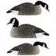 Avian X Honker Shell Decoys, Black, Pack of 6, 9010