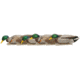 Avian X Top Flight Duck Decoy, Back Water Mallard, 6 pk, AVX-AVX8070