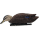 Avian X Top Flight Duck Decoy, Flocked Black Duck Floater, 6 pk, AVX-AVX8075