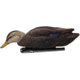 Avian X Top Flight Duck Decoy, Flocked Black Duck Floater, 6 pk, AVX-AVX8075