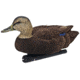 Avian X Top Flight Duck Decoy, Flocked Black Duck Floater, 6 pk, AVX-AVX8075