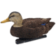 Avian X Top Flight Duck Decoy, Flocked Black Duck Floater, 6 pk, AVX-AVX8075