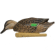 Avian X Top Flight Duck Decoy, Green Wing Teal Floater 6 pk., 8081, AVX-AVX8081