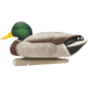 Avian X Top Flight Duck Decoy, Open Water Mallard 6 pk., 8060, AVX-AVX8060