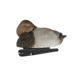 Avian X Topflight Floating Canvasback, Black, AVX-AVX8086