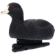 Avian X Topflight Floating Decoy, Black, AVX-COOT