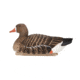 Avian X Topflight Specklebelly Floaters 4 Pack, AVX-SBGF-4PK