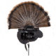 Avian X Turkey Trophy Tom Display Mount/Decoy, Black, AVX-AVX8021