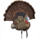 Avian X Turkey Trophy Tom Display Mount/Decoy, Black, AVX-AVX8021