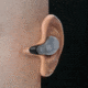 AXIL XCOR Digital Tactical Earbuds, 19-29 dB, In The Ear, Black, XCORDIGR