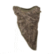 Banded Atchafalaya Face Mask - Bottomland, B03459