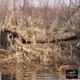Banded Axe Blind Camo Skin - Cattail - Regular, B08696