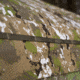 Barronett Blinds Hi-Five 5 Sided Hunting Blind, Crater Thrive, 4-Person, HF550CT