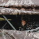 Barronett Blinds Ox 5 Hunting Blind, Crator Core Camo, 012642022319