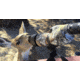 Barska 20-60x65 WP Level Spotting Scope Mossy Oak Break-Up Camo,Straight AD12358