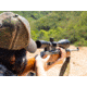 Barska 6-24x50 Varmint Rifle Scope w/ Adjustable Objective - AC10050 Rifle Scope