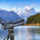 Barska Professional Fluid Head Tripod, Black, Medium, AF13650