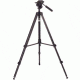 B&amp;L Tall Master Heavy Duty Tripod (75'')