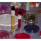 BD BBL Prepared Media Stacker PlatesA7 Agar to Pseudosel Agar