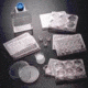 BD BioCoat Cellware, Laminin, BD Biosciences 354658 Multiwell Plates With Poly-L-Ornithine/Laminin 6-Well