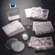 BD BioCoat Cellware, Each, Laminin, BD Biosciences Multiwell Plates With Poly-L-Ornithine/Laminin 24-Well, 354659
