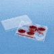 BD Falcon Cell Culture Companion Plates for Inserts, Sterile, BD Biosciences 353502