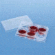 BD Falcon Cell Culture Companion Plates for Inserts, Sterile, BD Biosciences 353504