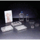 BD Primaria Treated Labware, Sterile, BD Biosciences 353872 Multiwell Plates 96-Well