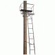Big Dog Big Bud Ladder Stand, Two Man 18 ft. BDL-455
