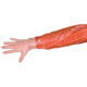 Muddy Field Dressing Glove Kit, includes Sanitary Towelette, Clear GP100
