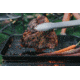 BioLite Prep/Grill Toolkit, BNB0101